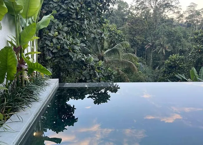 Villa Loyo *